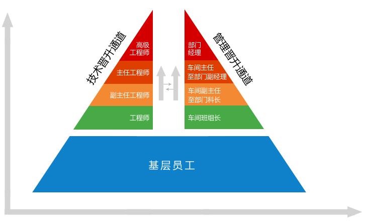 晋升体系