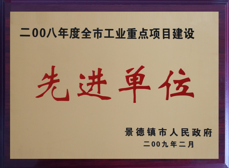 2008年度景德镇市工业建设项目先进单位