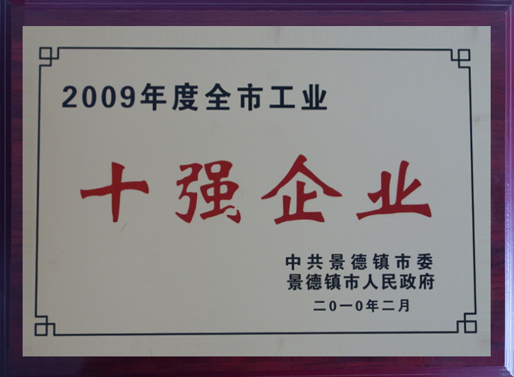 2009年度景德镇市工业十强企业